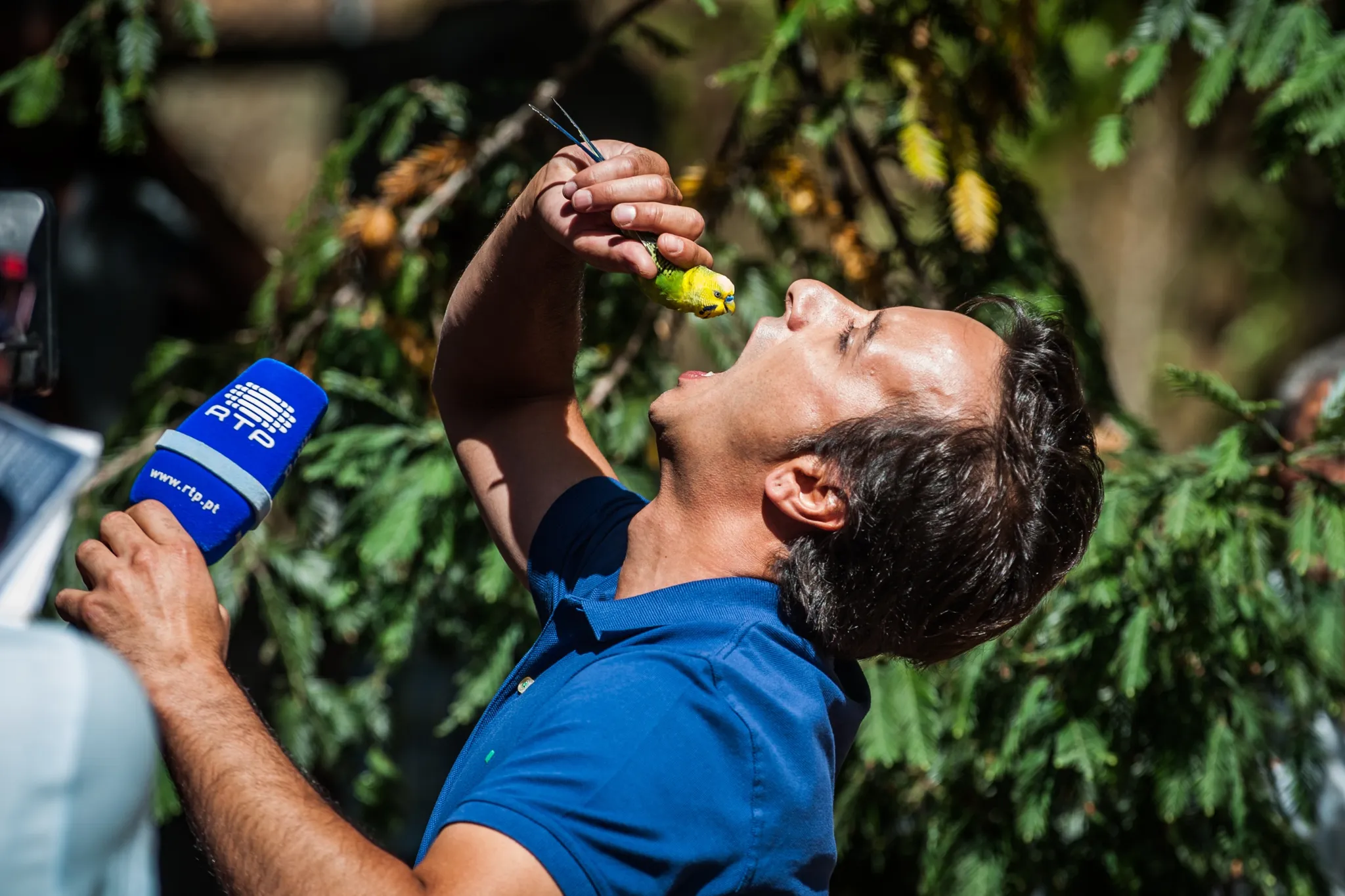 Behind the scenes of RTP's summer show, Portugal 2015, image 45 of 66
