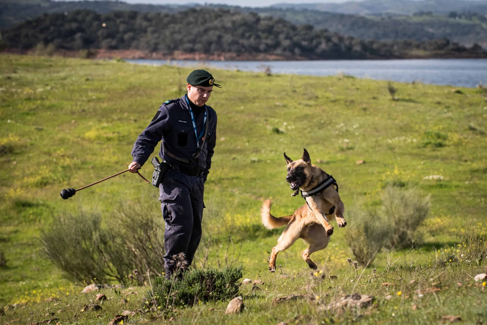 A GNR poison-detection brigade at work at Alqueva, Portugal 2016, image 50 of 66