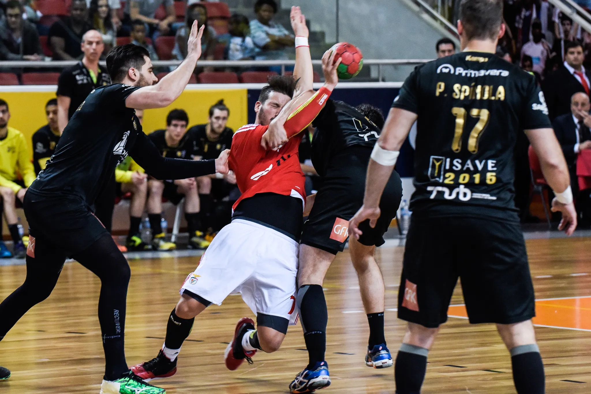 Handball, SL Benfica, Portugal 2016, image 10 of 66