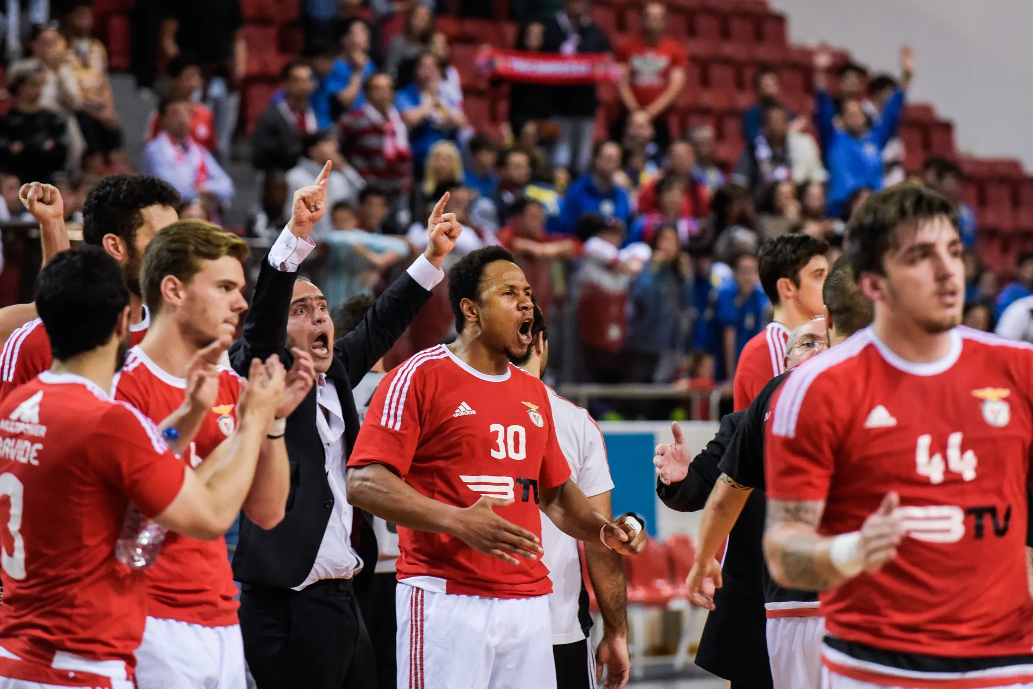 Handball, SL Benfica, Portugal 2016, image 11 of 66